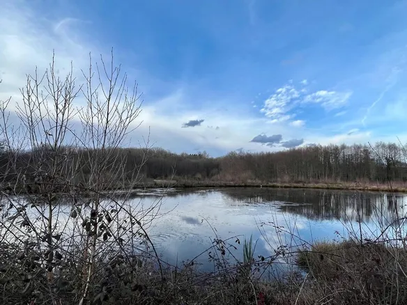 500 000 € /an : coût de la pollution laissée par les anciennes mines d'or de la région de St-Yrieix