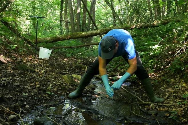 Des prélèvements pour trouver l'arsenic